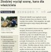 Polska sprawiedliwość 