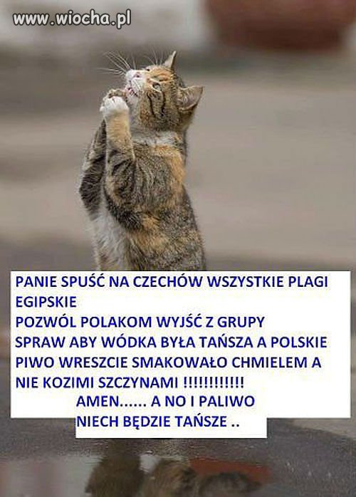 Panie spuść na czechów