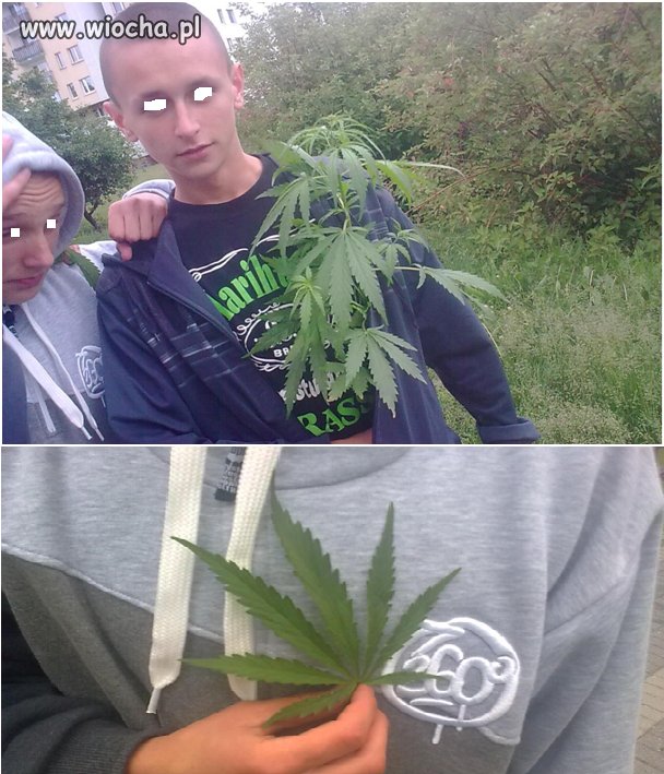 Uczniowie Polskiego gimnazjum vol 2