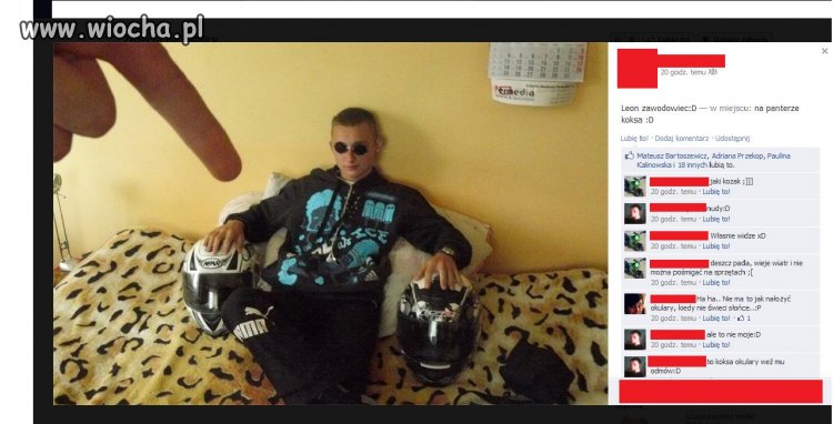"Leon zawodowiec"