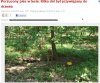 Jak nie chciał psa, mógł oddać do schroniska