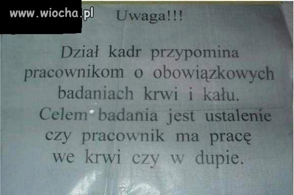 Chętni do pracy pisać 