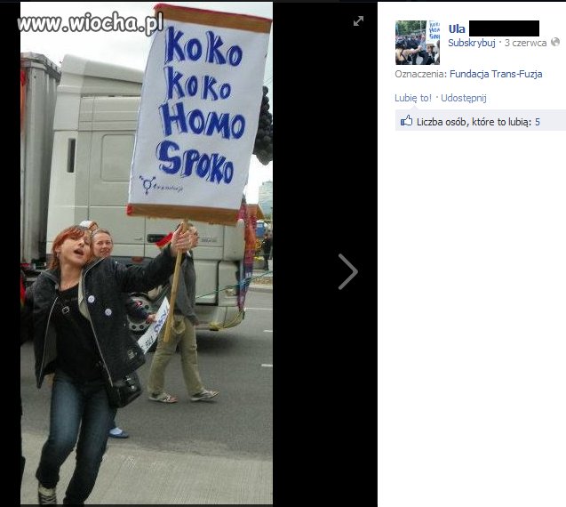 Do homosi nic nie mam