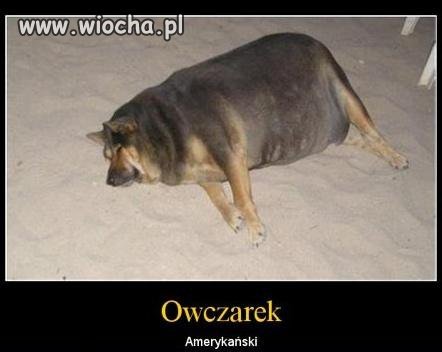 Skrzywdzić można nie tylko fizycznie