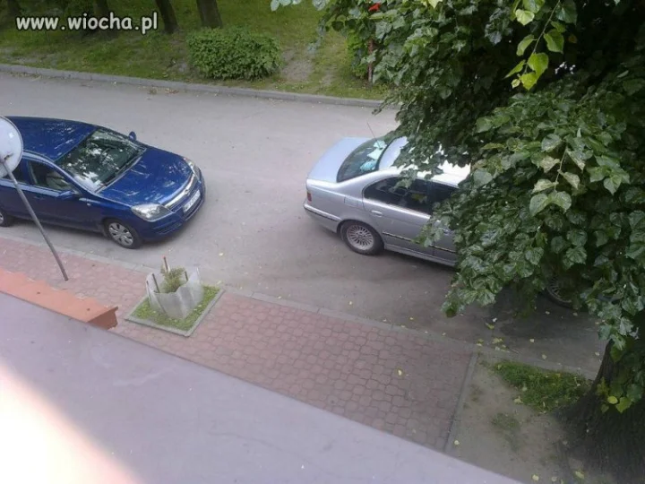 Tak parkuje blondynka