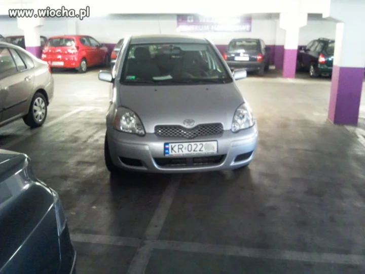 Mistrzyni parkowania
