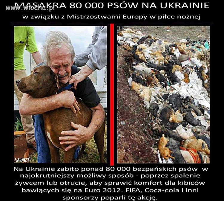 Jak można być takimi bydlakami 