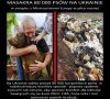 Jak można być takimi bydlakami 