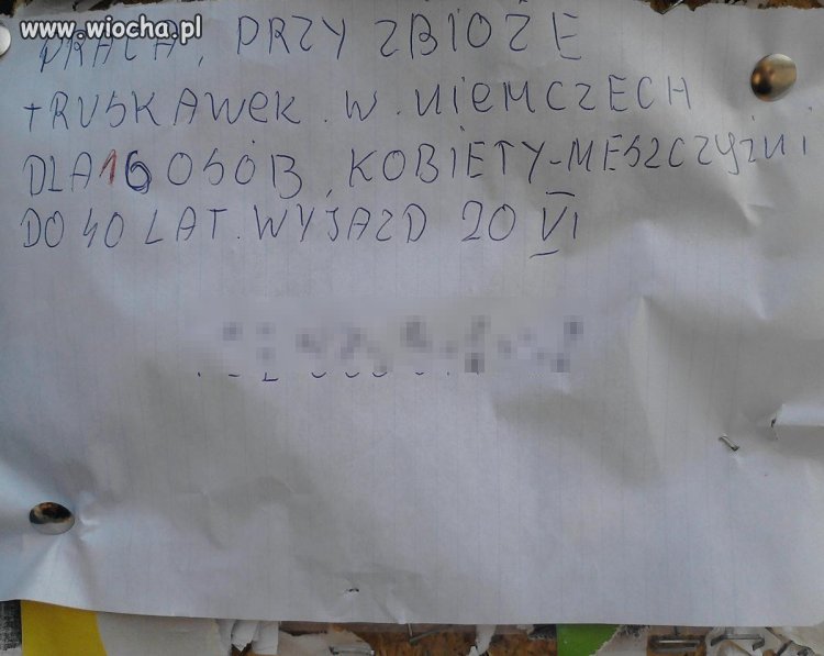 " kobiety - meszczyźni " 