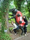 Podpis po zdjęciem "zdrowy byk"