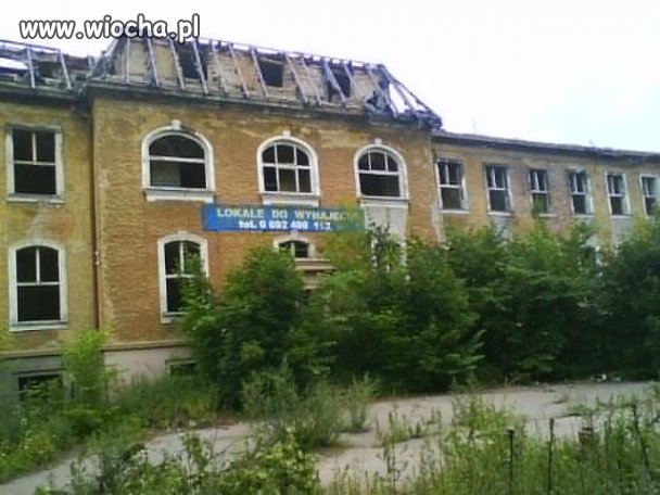 Do wynajęcia