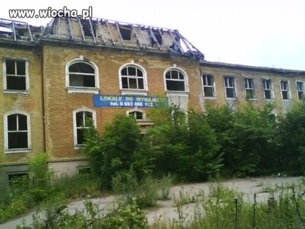 Do wynajęcia
