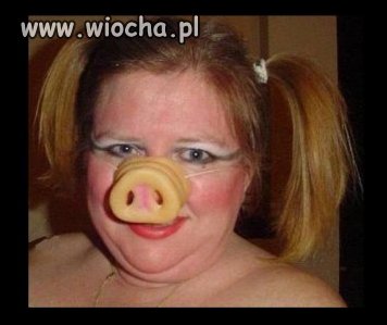 Sweet nosek...
