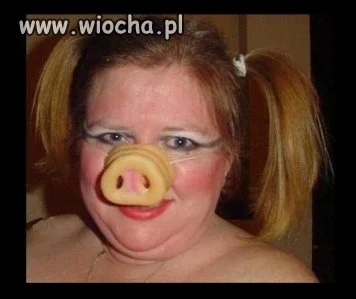 Sweet nosek...