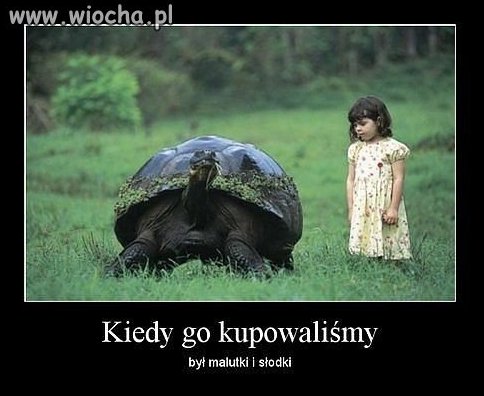 Uważajcie co kupujecie 