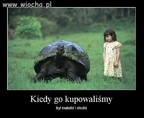 Uważajcie co kupujecie 