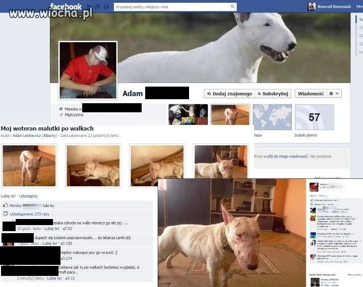 "Mój weteran malutki po walkach"