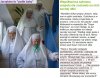 Jarzębina to podłe baby 