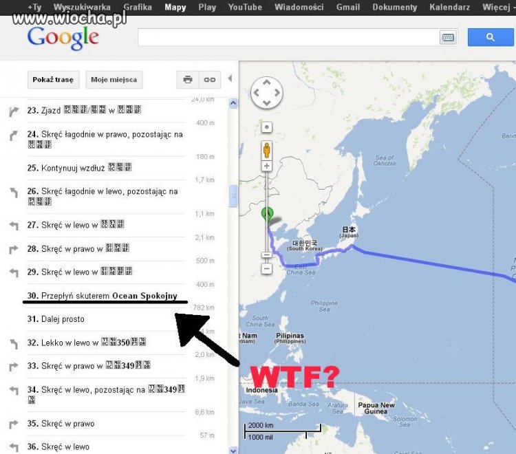Wujek Google