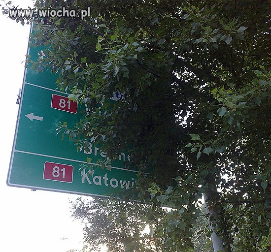 Bardzo widoczne te znaki 