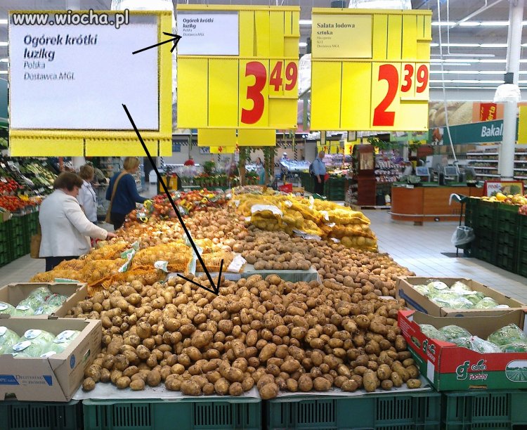 REAL Toruń ul.Grudziądzka