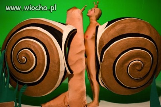O co w tym naprawdę chodzi ???