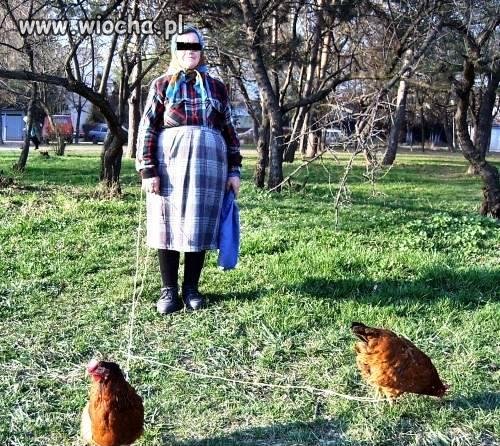 Moje kochane kurki