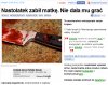 Myślałem, że nic mnie już nie zaskoczy