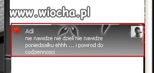 Poprawna polszczyzna