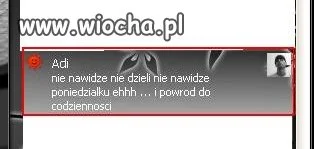 Poprawna polszczyzna