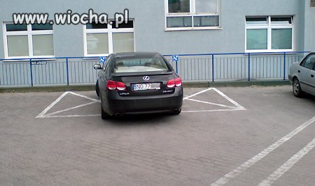 Mistrz parkowania 
