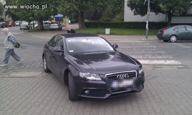 AUDI i pasy