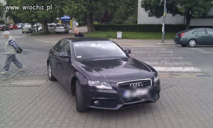 AUDI i pasy