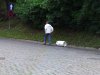 IDZIE GRZEŚ przez MIASTO