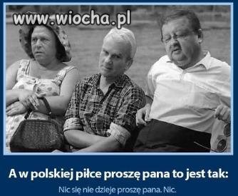 P z p n 