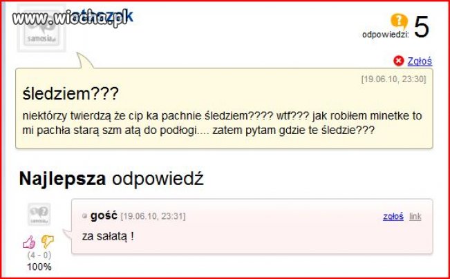 To musiało tu trafić
