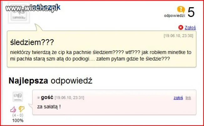 To musiało tu trafić