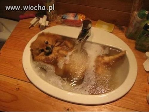 Chodził taki brudny.