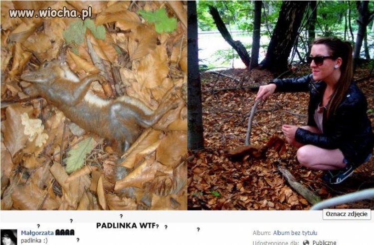 Nie masz co zjeść?