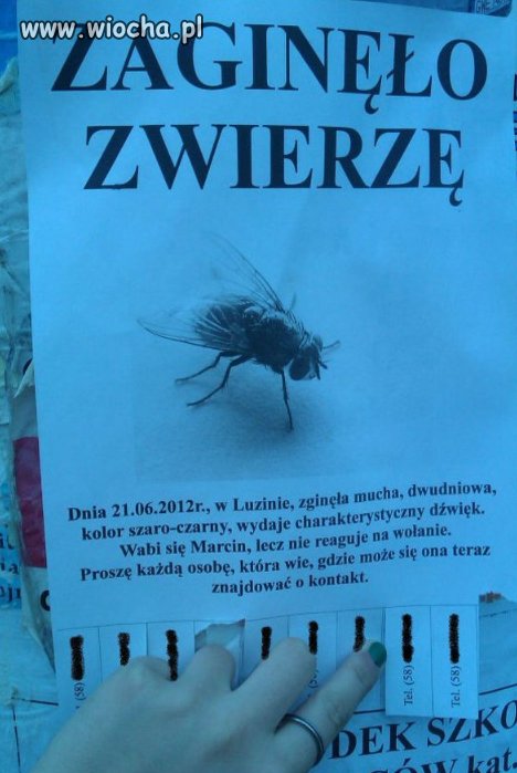 Bardzo pilne !
