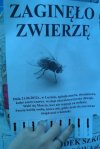 Bardzo pilne !