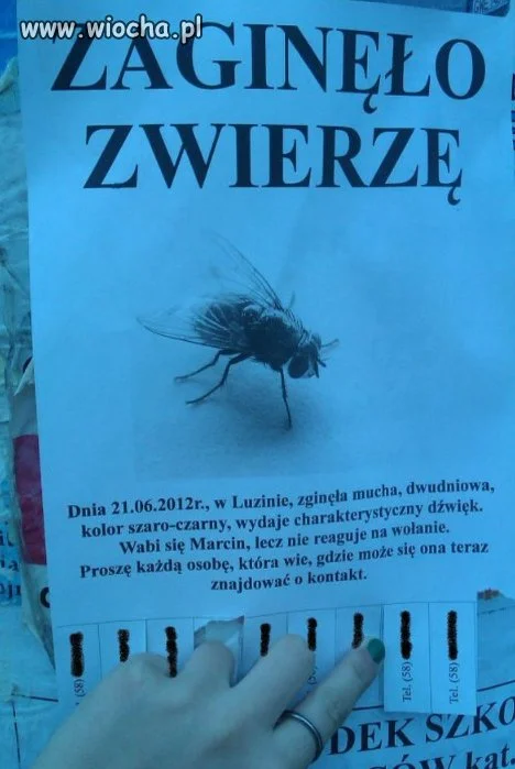 Bardzo pilne !
