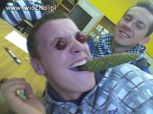 Zajęcia szkolne 
