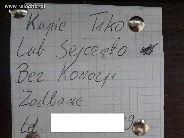 Ortografia