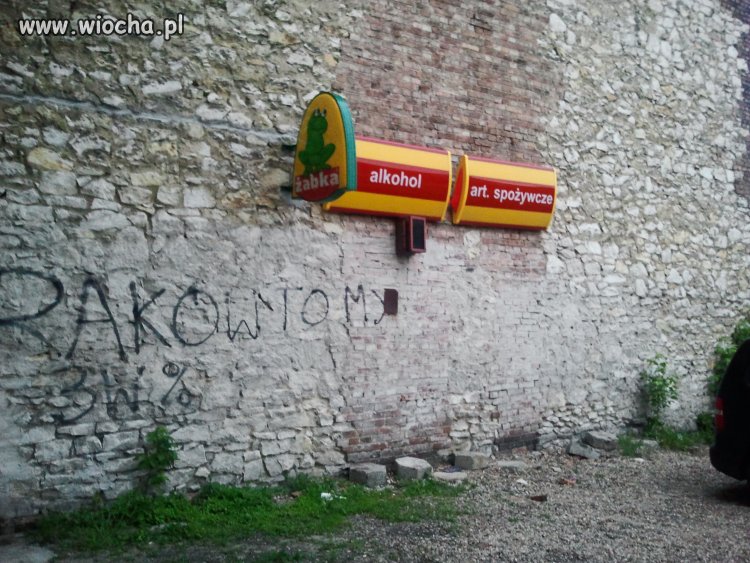 Żabka Harry'ego Pottera