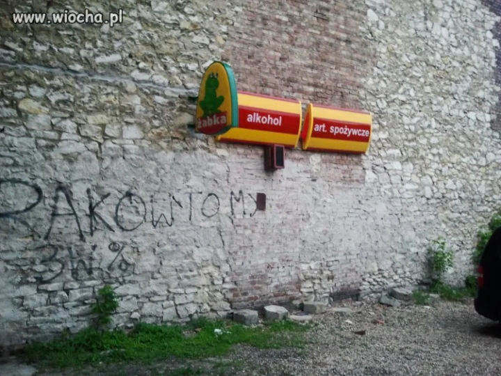 Żabka Harry'ego Pottera