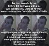 Złodziejstwo