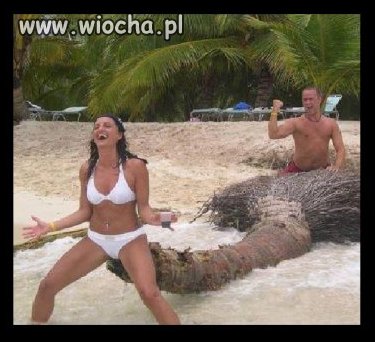 Takie tam na plaży