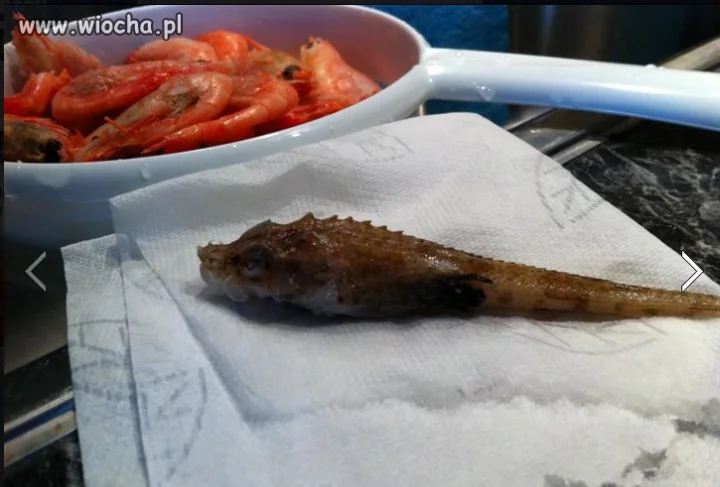 Smaczne krewetki! WTF?!