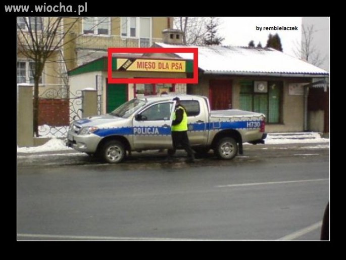 Cała Prawda.